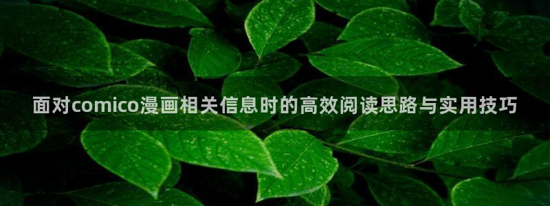 七七漫画网站：面对comico漫画相关信息时的高效阅读思路与实用技巧